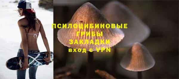 бошки Ладушкин