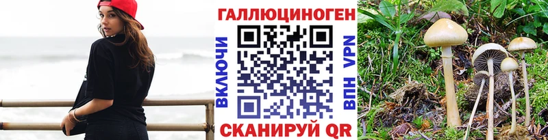 Псилоцибиновые грибы Psilocybine cubensis  Купить  Комсомольск 